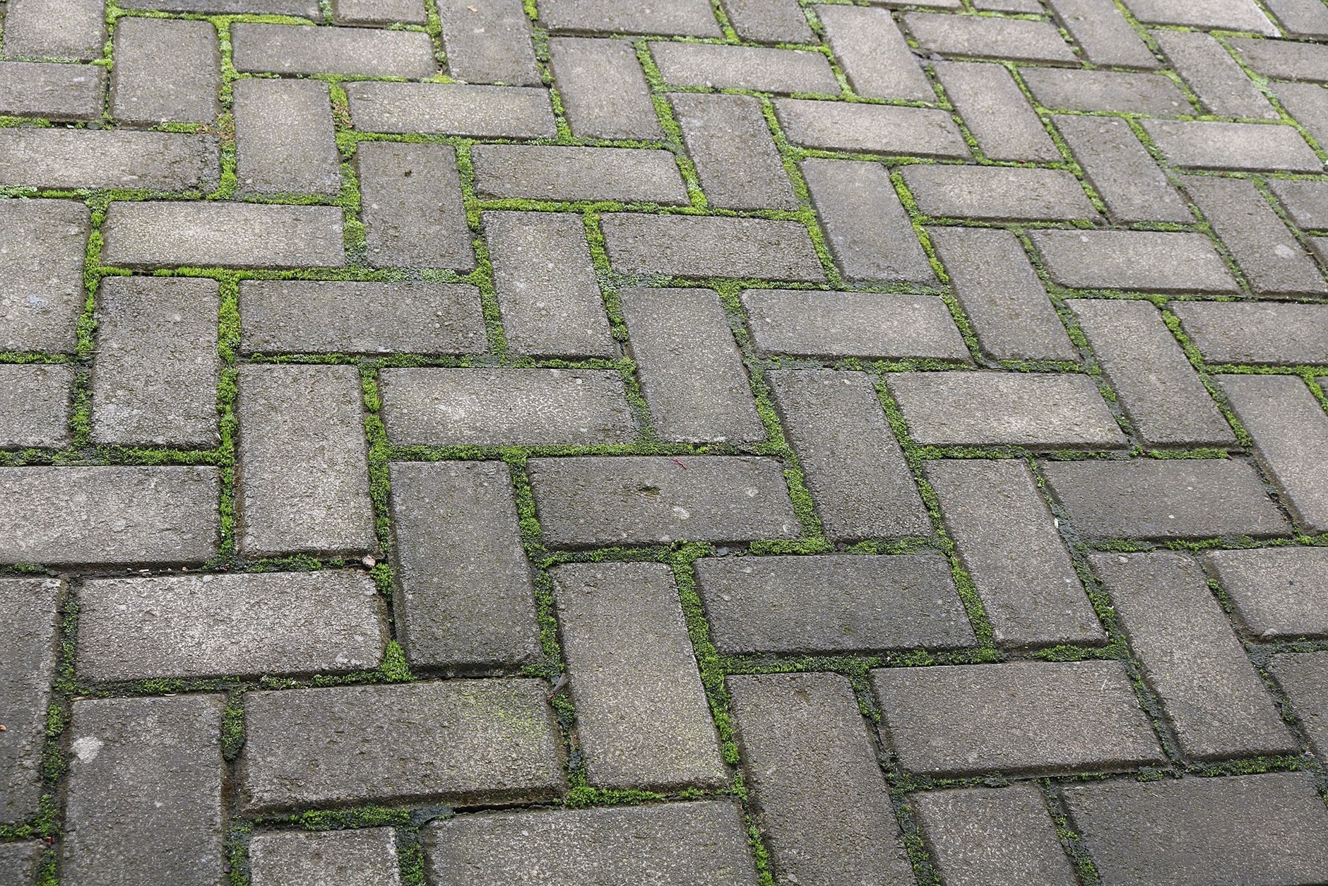 Do czego służą chwytaki brukarskie i jakie wybrać?