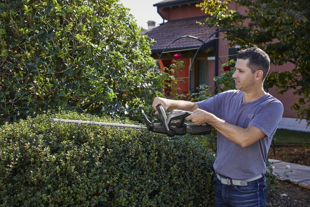 Formowanie żywopłotu – praktyczne wskazówki