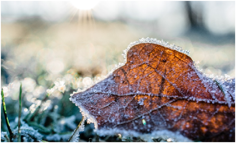 Niezbędniki do pracy w ogrodzie lub na zewnątrz w czasie zimy.