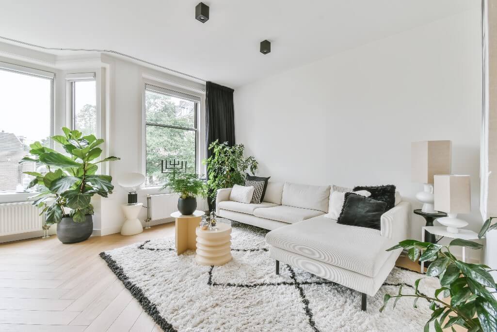 Kwiaty domowe łatwe w uprawie — dla zapracowanych i zapominalskich