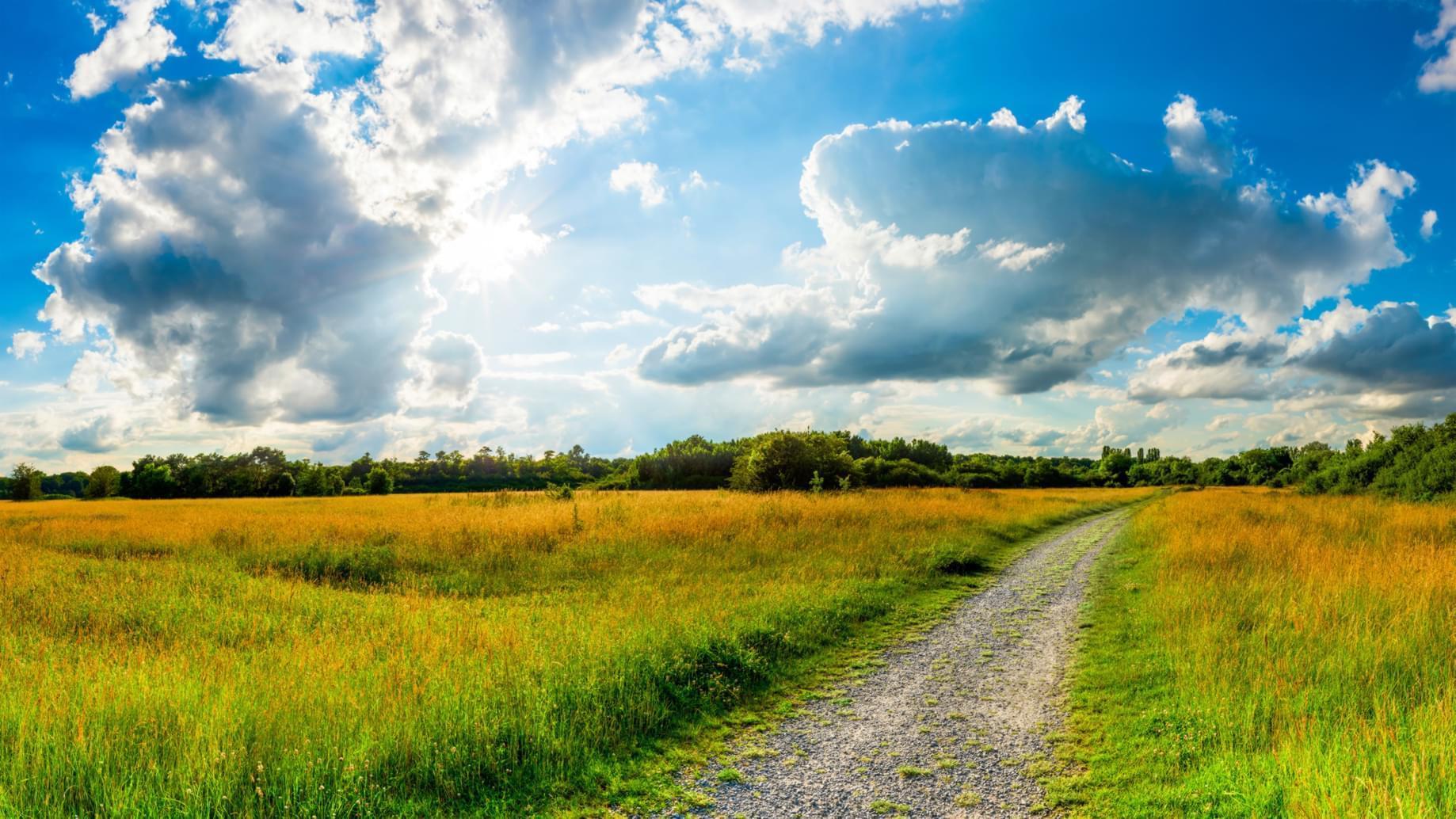 Nieproszeni lokatorzy i zasiedzenie służebności – na czym polega
