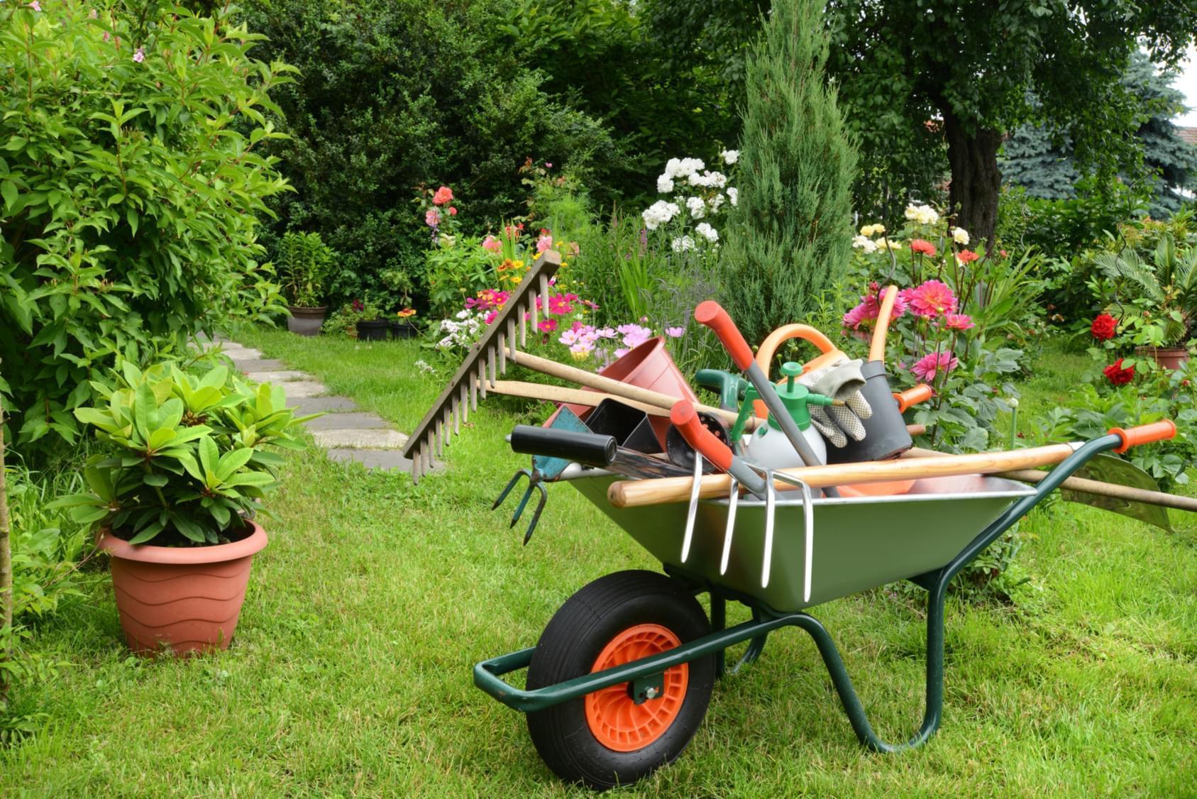 Wiosenne prace w ogrodzie