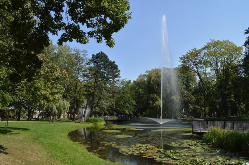 Parki miejskie – zielone płuca miasta