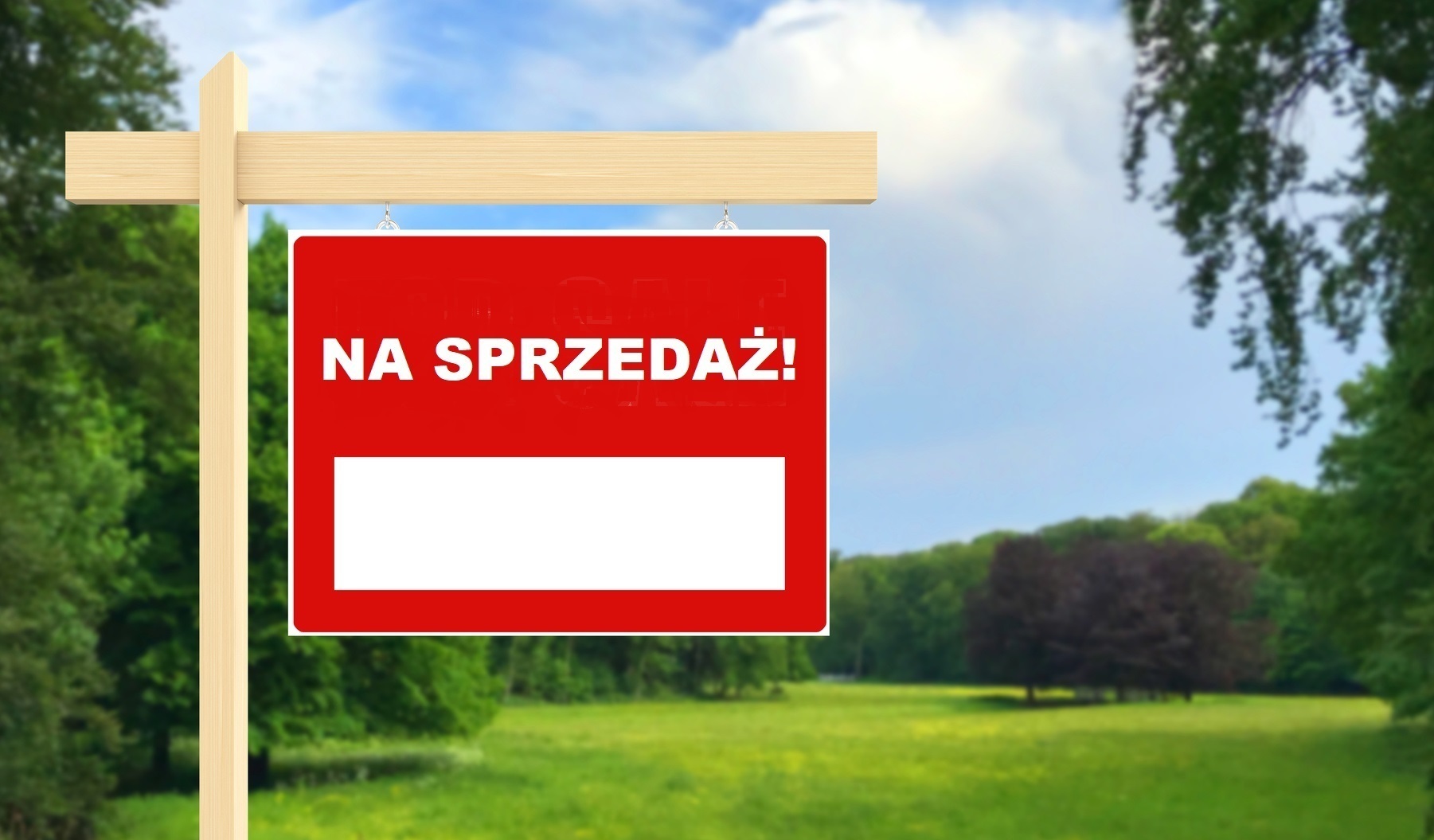 Czy działki budowlane drożeją? Średnie ceny działek budowlanych w 2019 r.
