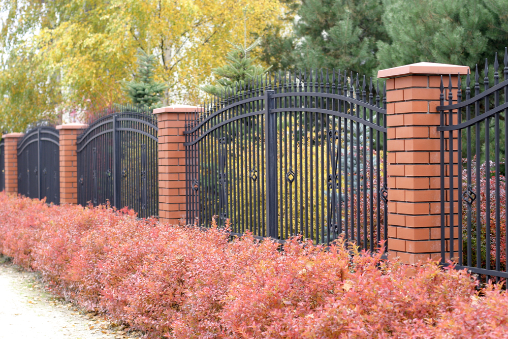Ogrodzenie – co wziąć pod uwagę podczas jego wyboru
